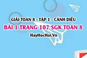 Giải bài 1 trang 107 Toán 8 Tập 1 SGK Cánh Diều